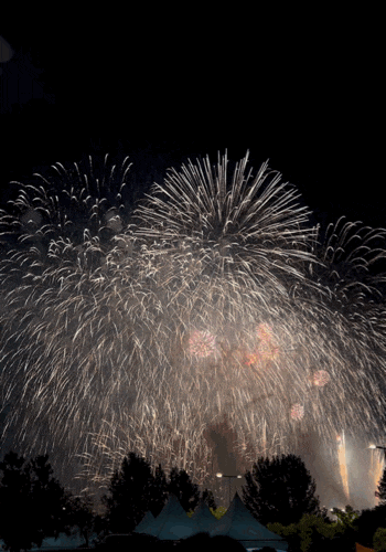 2026 여의도 불꽃축제 명당 추천 | 2025 불꽃축제 시야 비교후기 | 이촌한강vs여의도한강