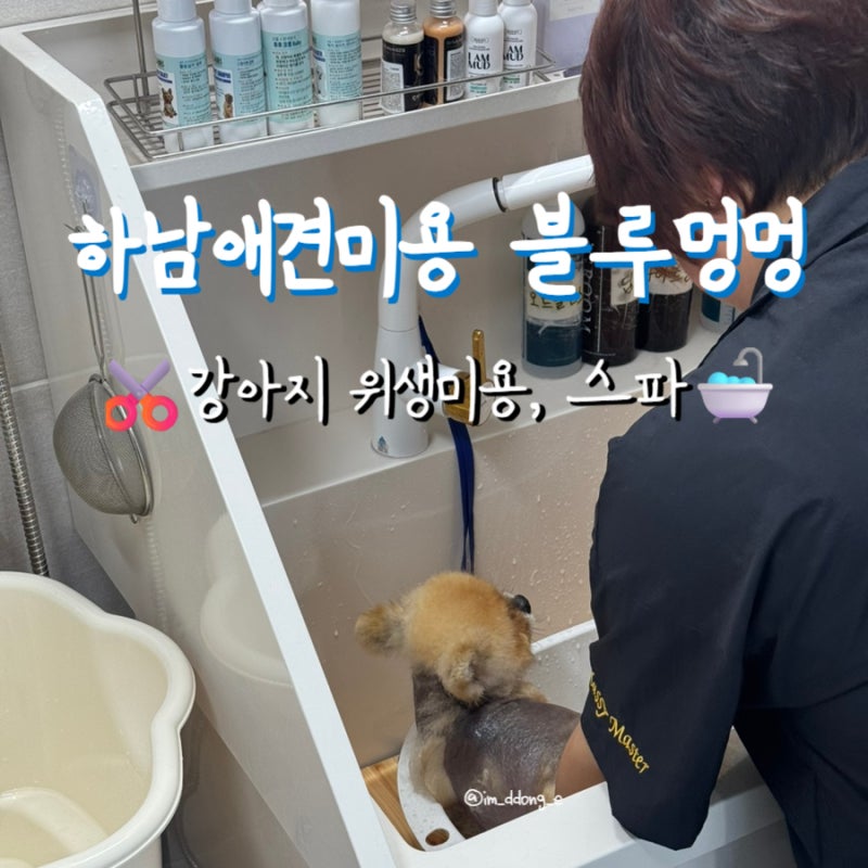 사진 3