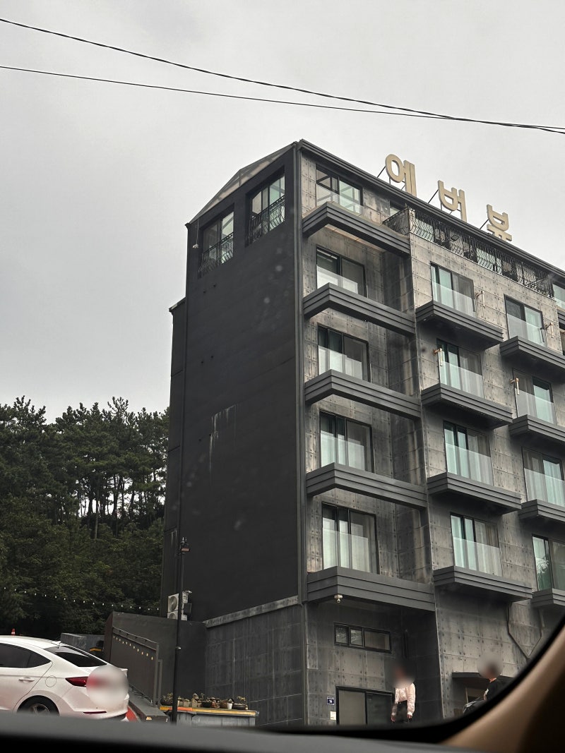 사진 5