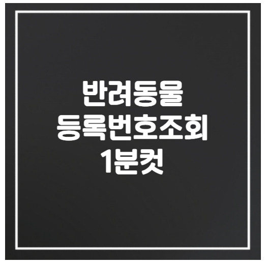  강아지 반려동물 동물등록번호 조회 방법 쉽고 빠르게 확인하기