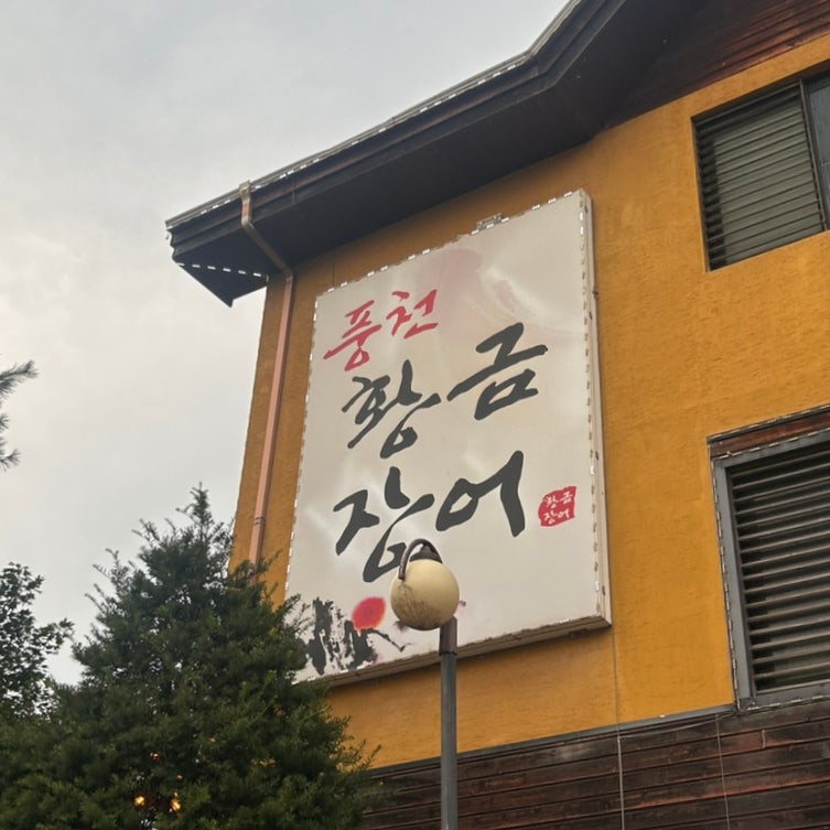 풍천황금장어 사진 4