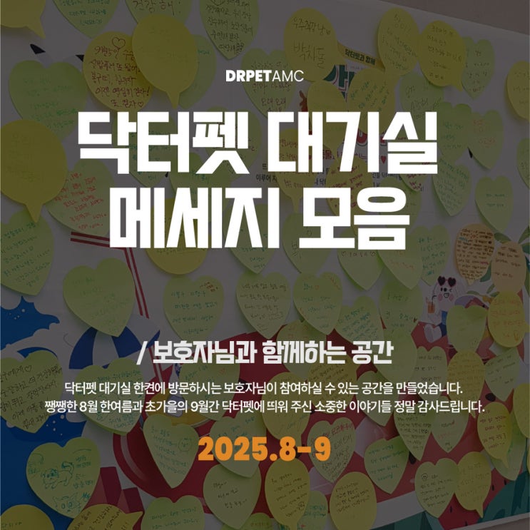  닥터펫동물의료센터 대기실 담벼락 메세지 모음 2025년 8-9월 부산 서면 24시 동물병원
