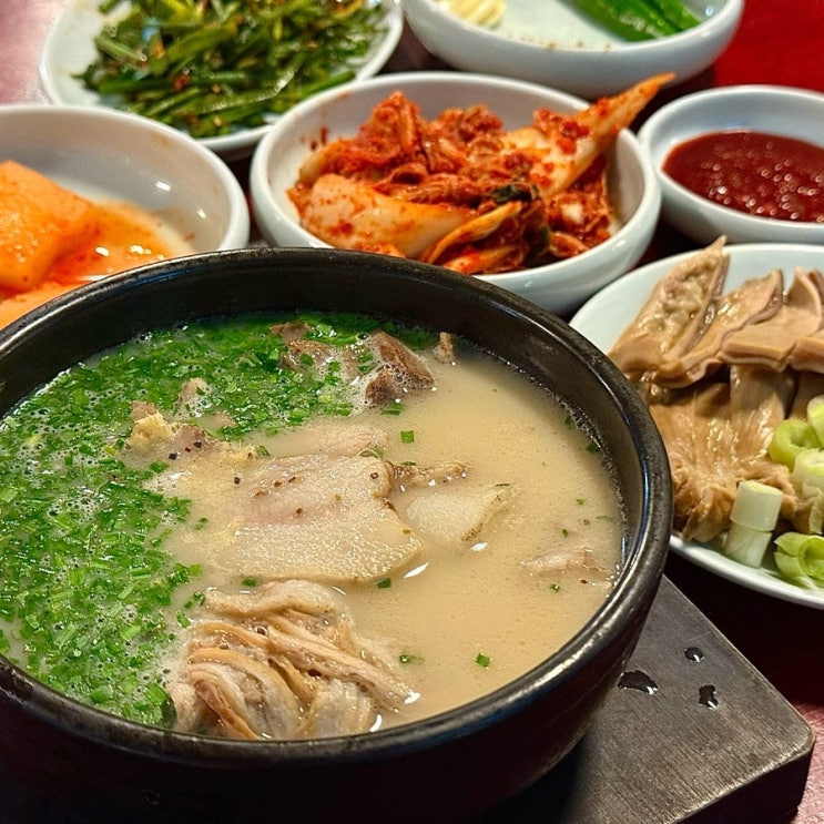  수영 돼지국밥 맛집 부산 엄용백돼지국밥