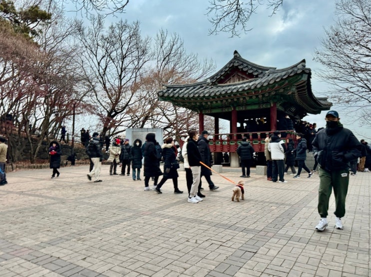  2025년 서울 강서구 사람적은 일출 마곡 해돋이 명소