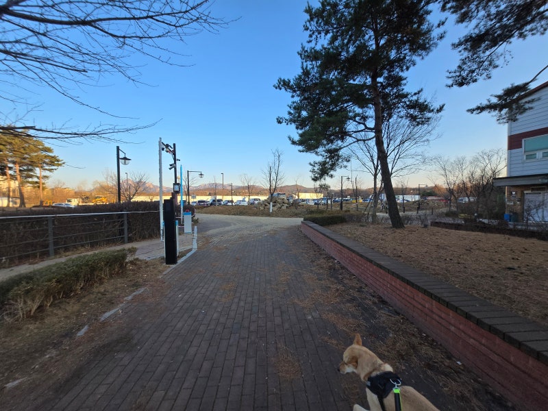 사진 2