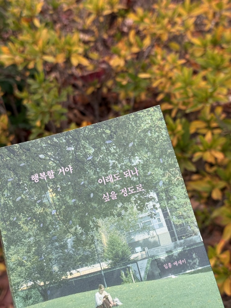  행복할 거야 이래도 되나 싶을 정도로 에세이