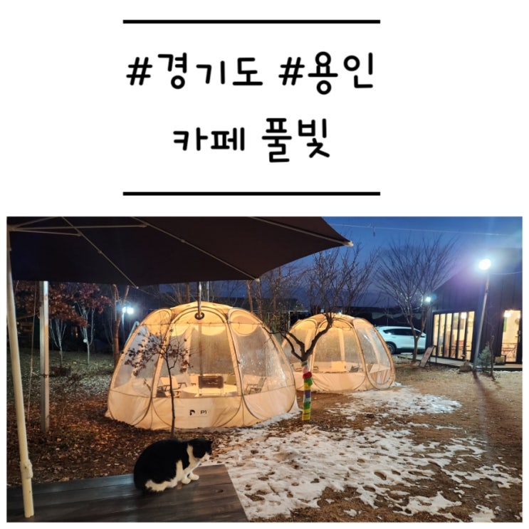  [경기도/용인] '카페 풀빛 (놀이정원 풀빛)' 아이가 마음껏 놀 수 있는 불멍카페