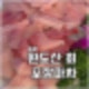 송파 횟집 1티어 대방어 맛집 완도산회포장마차