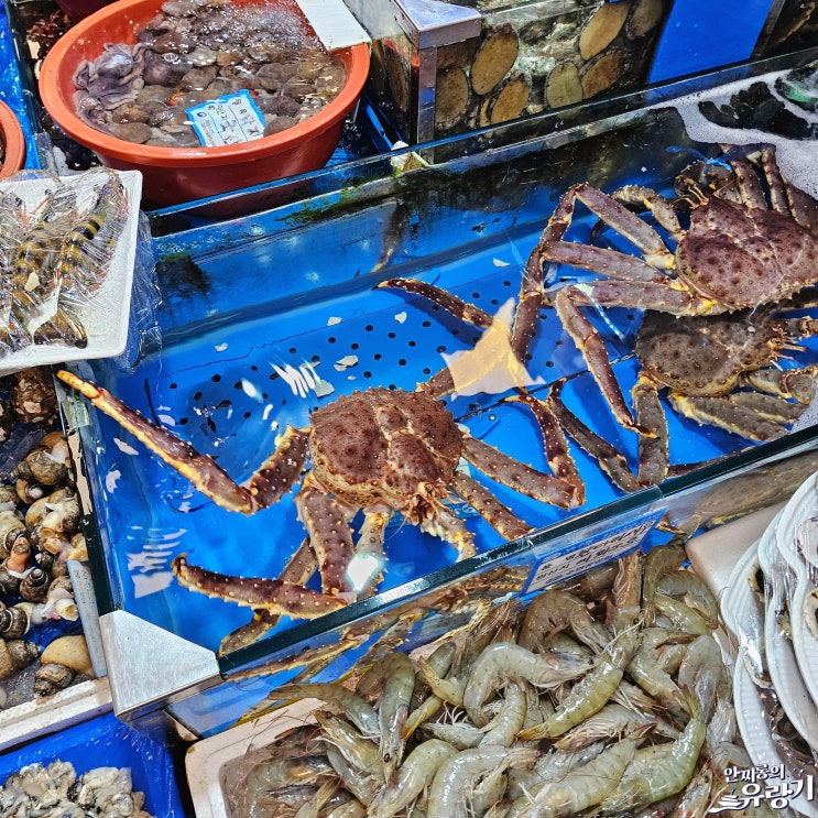  노량진 수산시장 킹크랩시세 제철 해산물 리뷰 대방어 킹크랩 싯가
