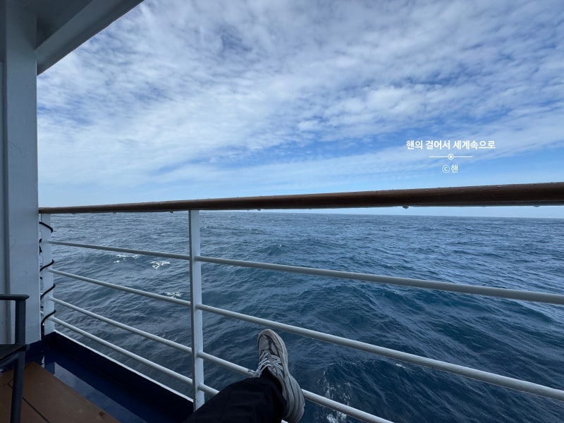 [241120] 남극 신혼여행 Day 4_남극 첫째날, Sea day, 공포의 드레이크해협 건너기, 남극여행 시 주....