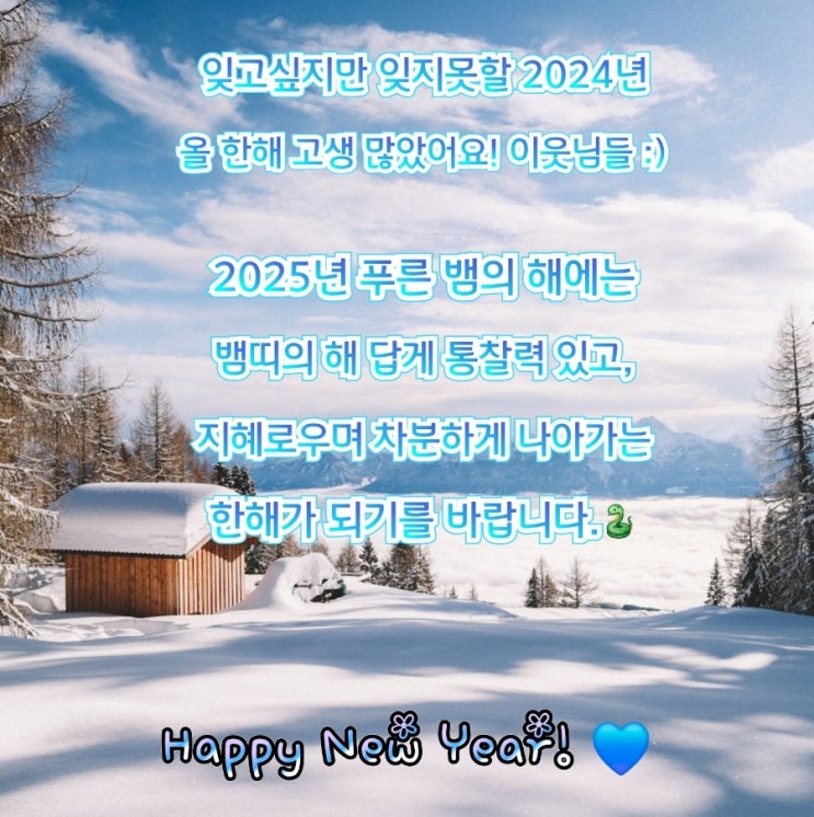  2024년 잘가, 2025년 어서와 (feat. 을사년 푸른뱀의해)