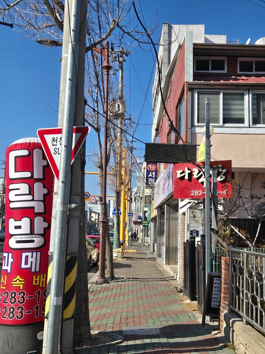 다락방과메기 사진 3