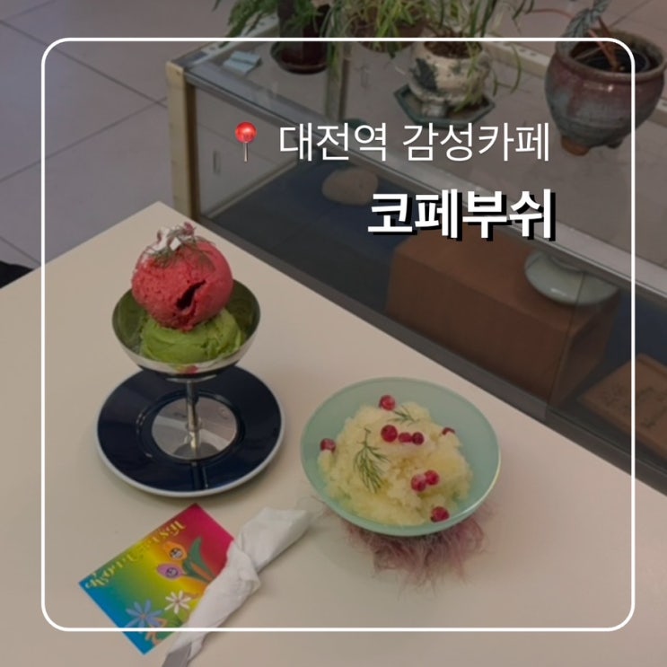  대전역 감성카페 코페부쉬 KOFE BUSH 느좋 식물카페
