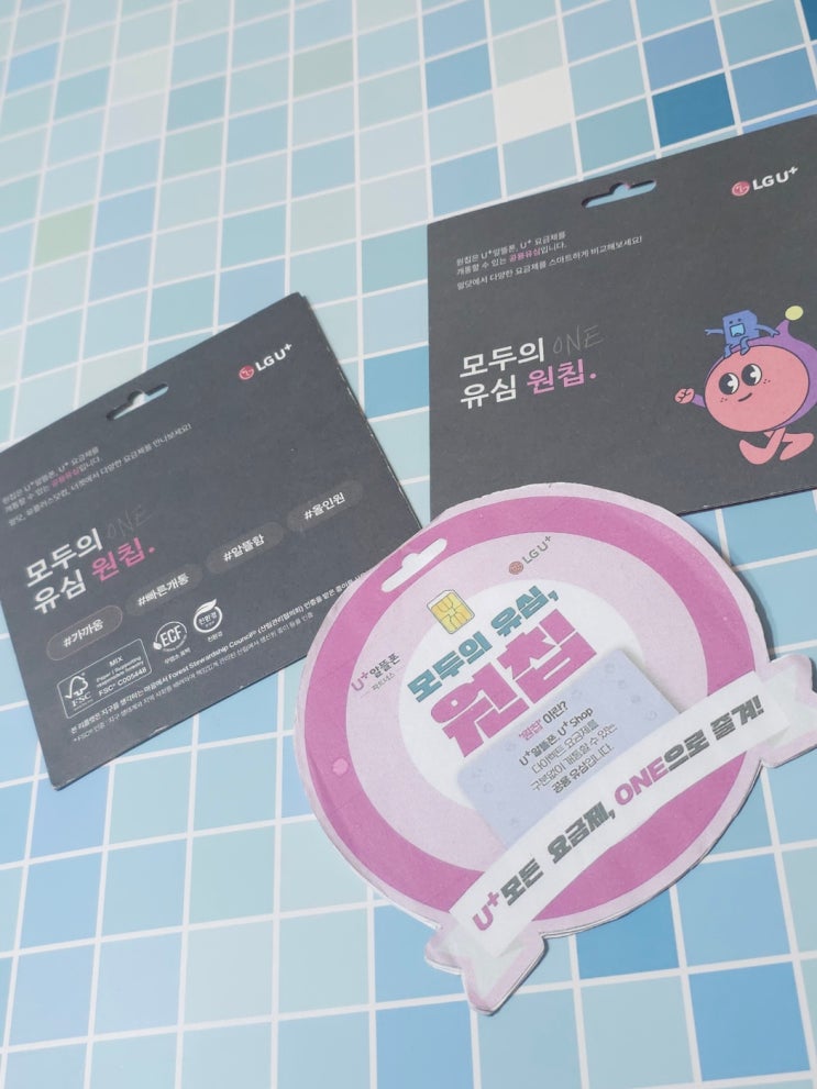  KT미납정지 알뜰폰 당일 개통 방법