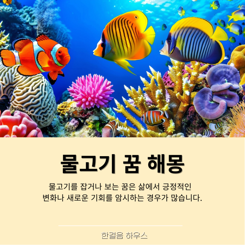 물고기 꿈 | 물고기 잡고 | 물고기가 나오는 꿈