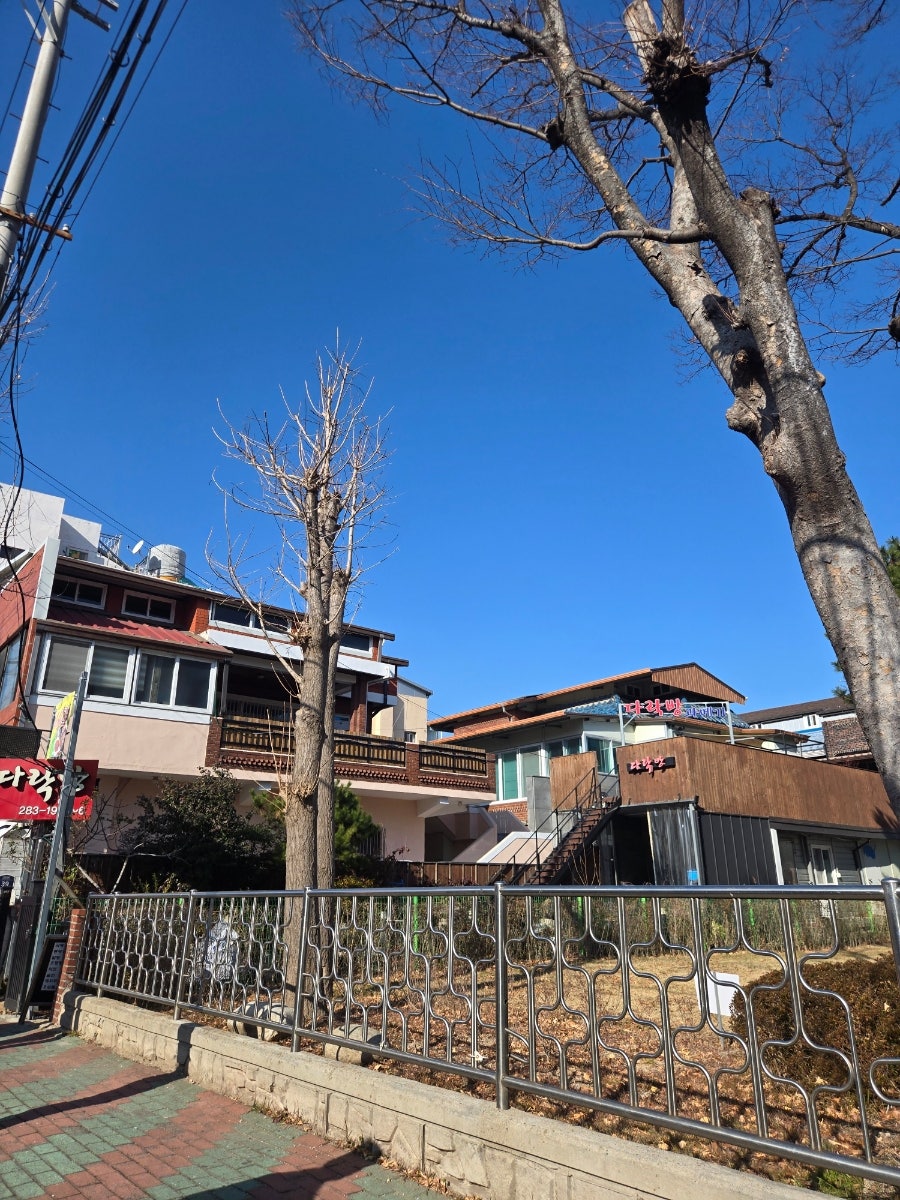다락방과메기 사진 2