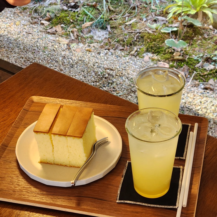 남해 반려동물 애견 동반 카페유자 카스테라 맛집 남해 반려동물 애견 동반 카페유자 카스테라 맛집