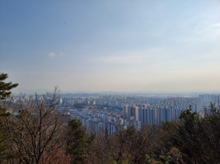 2025년 새해 등산! 금정산에서 만나는 검단신도시 아라동과 풍무동의 풍경 2025년 새해 등산! 금정산에서 만나는 검단신도시 아라동과 풍무동의 풍경