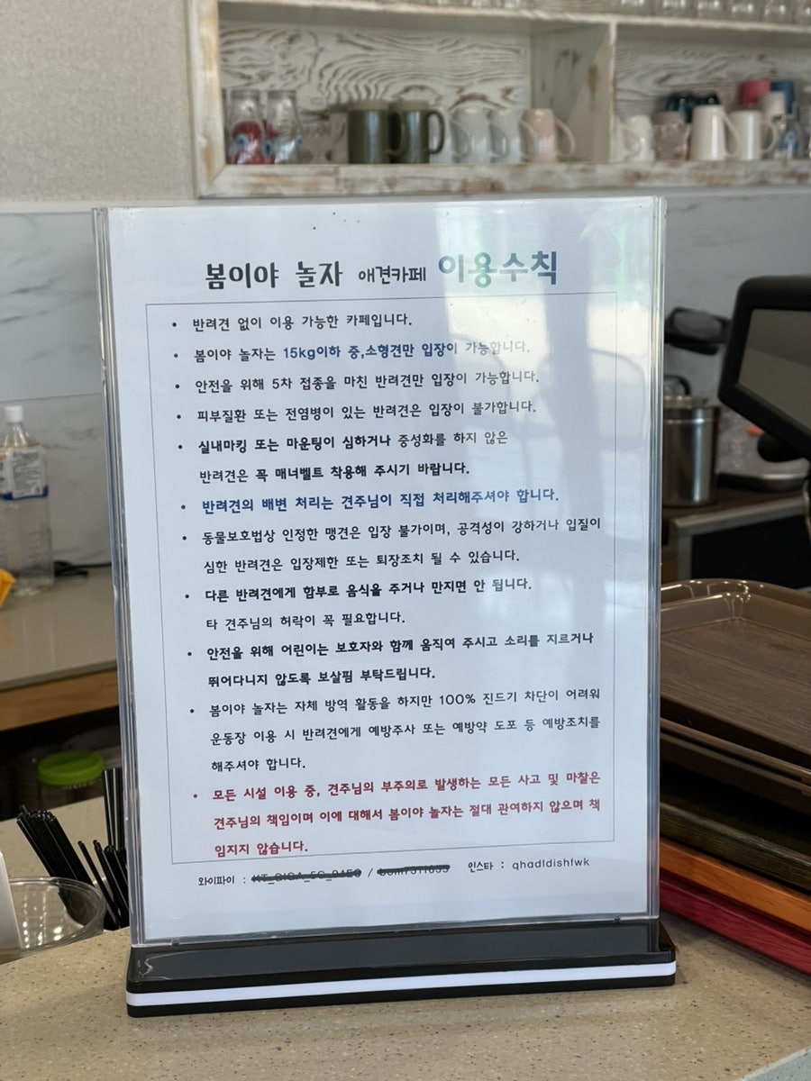 봄이야놀자 사진 3