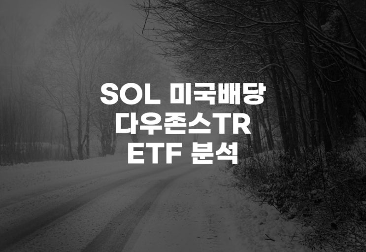  SOL 미국배당다우존스TR[493420] ETF 분석 주식 주가 의미 배당 재투자 토탈리턴(total return)
