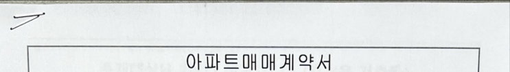 일상일기_연말, 쌍둥이 출산 육아, 출생신고 바쁘다 바빠