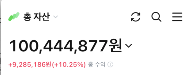  2025년 투자 계획. 그리고 금융 자산 1억원 달성