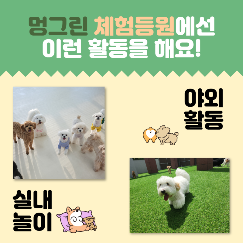 사진 5