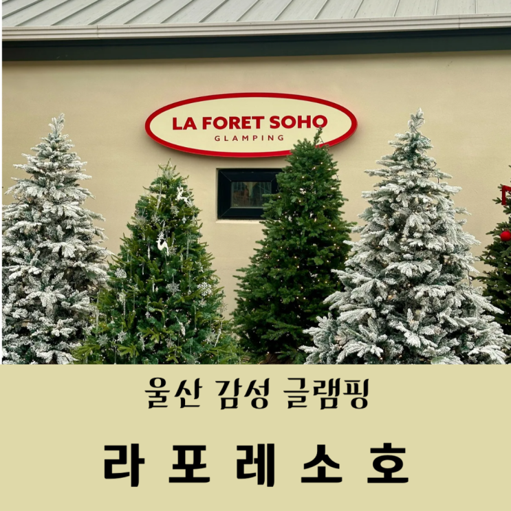  부산근교 울산글램핑 영남알프스뷰 라포레소호 화이트글램핑 1번 후기