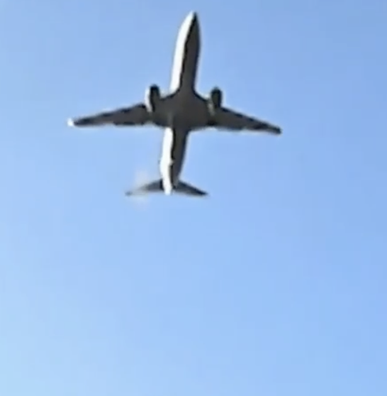 제주항공 <b>여객기 참사</b> :: 원인, 사소 경위, <b>무안공항</b>, 사망자... 