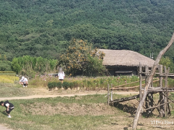  충남 아산 외암민속마을 현충사 국내 드라이브 여행 코스 가볼만한곳
