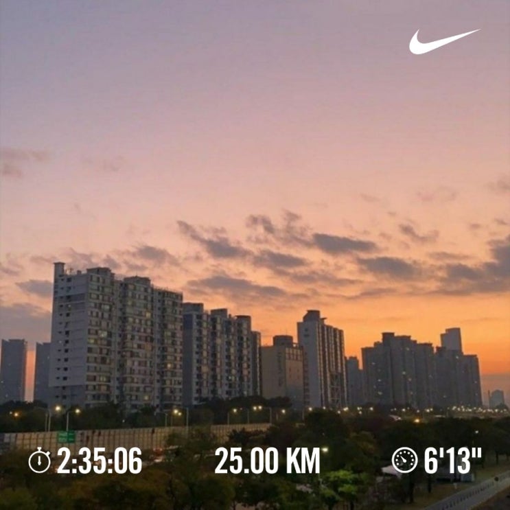매일 10km 러닝 챌린지 1239일 차