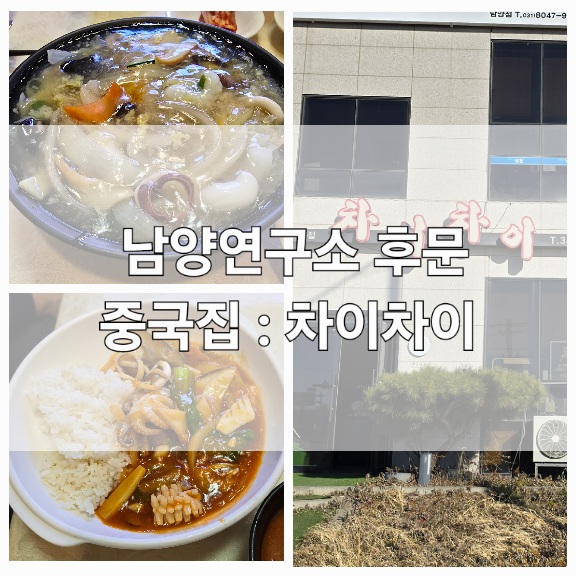 차이차이 사진 1