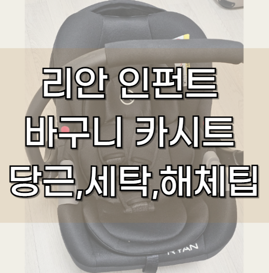 리안 인펀트 바구니 카시트 당근, 세탁,해체팁