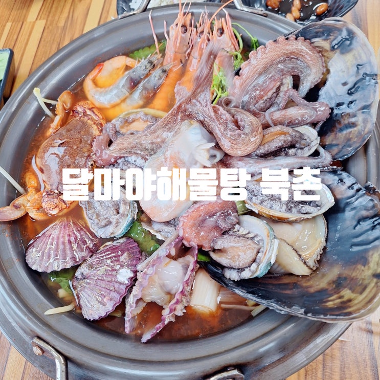  함덕 현지인 맛집 이효리도 8번 다녀간 달마야해물탕 북촌