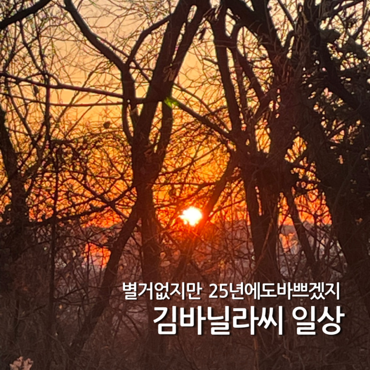  별거 없지만 2025년에도 바쁠 예정인 김바닐라씨 일상글