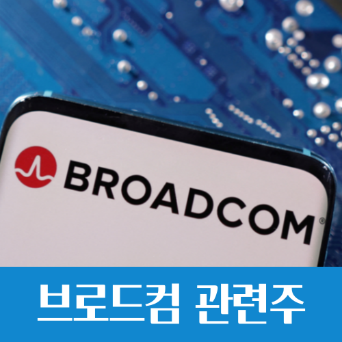  넥스트 엔비디아 '브로드컴'이 뜬다,  ASIC 뜻과 국내 관련주는?
