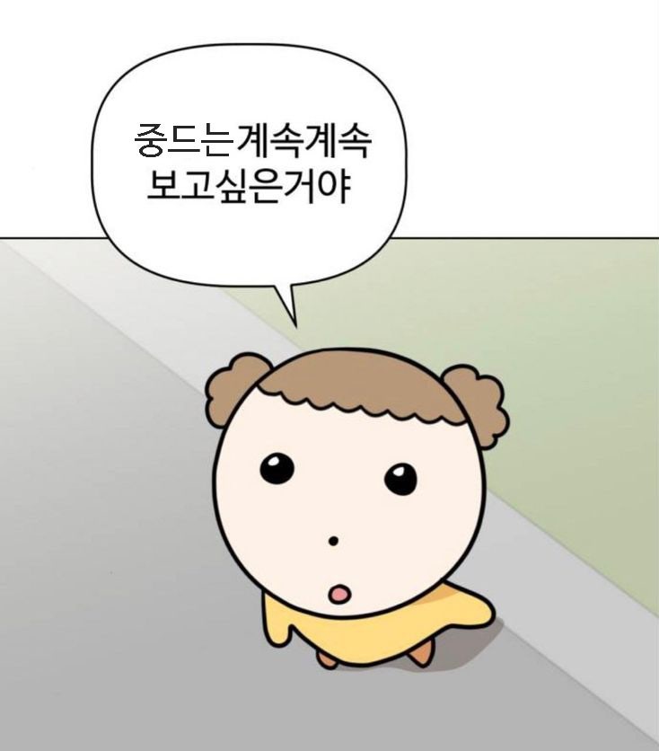  2024년 중드 완주 목록