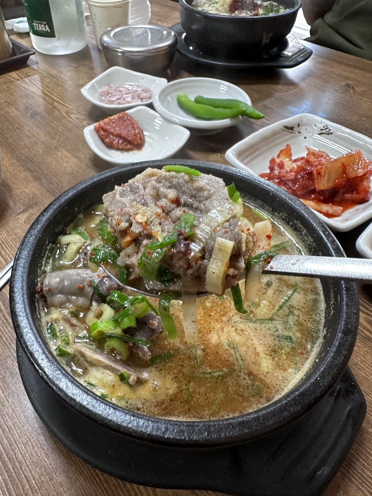  속초아침식사 영식이네 순대국밥 | 속초터미널 속초해변맛집-내돈이다