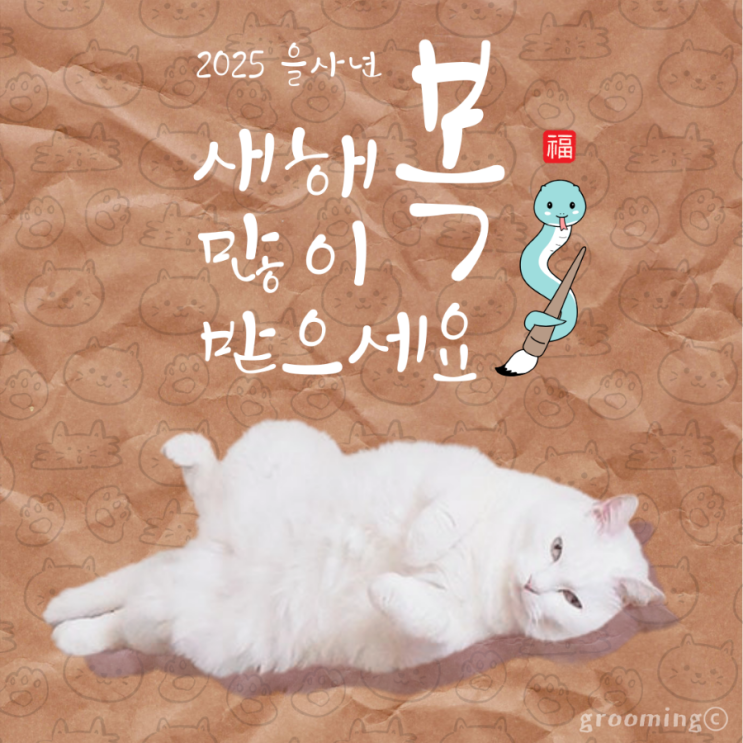  #냥모닝 이천이십오 일월 일일