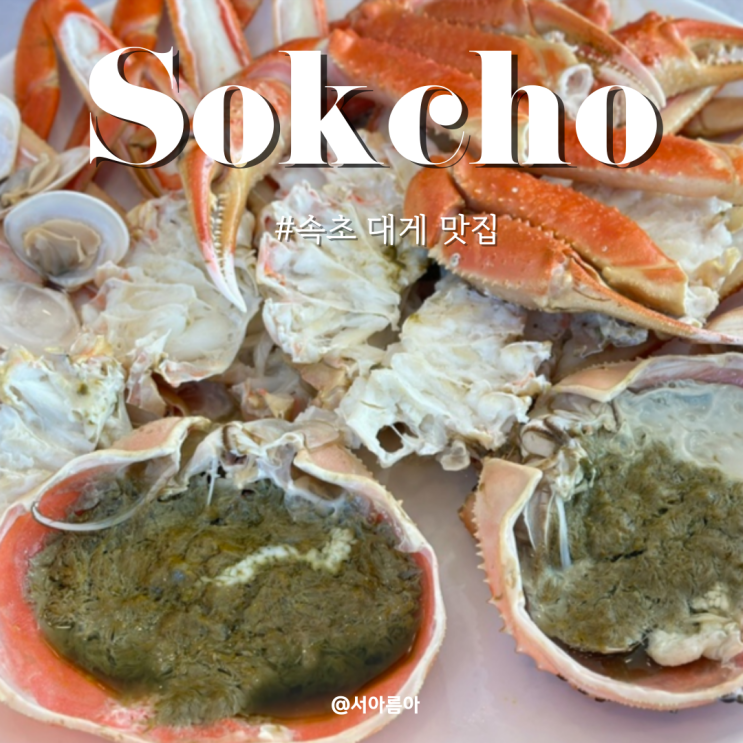  강원도 속초 대게 맛집 오션뷰 대포리 대게