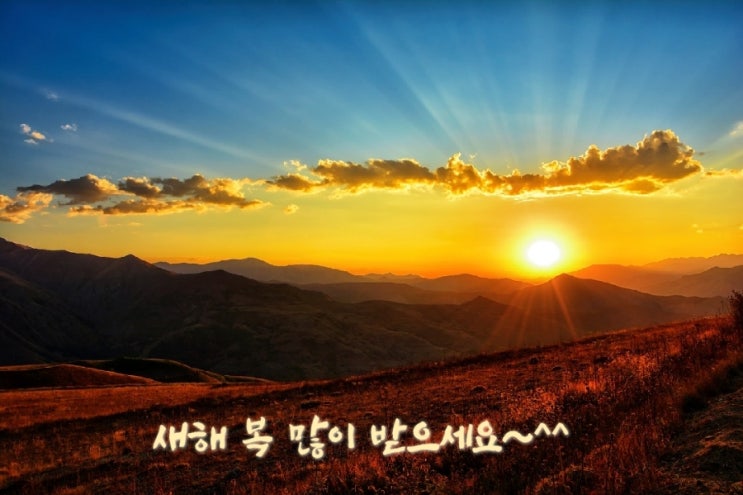  2025년 을사년 (乙巳年) 새해에는 평온함이 넘치길~