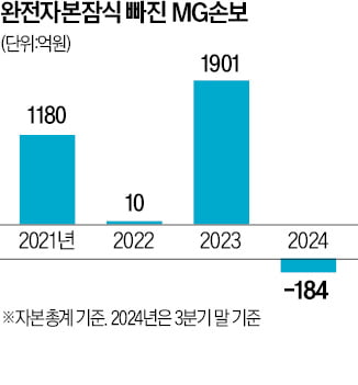 실사도 못한 MG손보, 청산으로 치닫나 실사도 못한 MG손보, 청산으로 치닫나