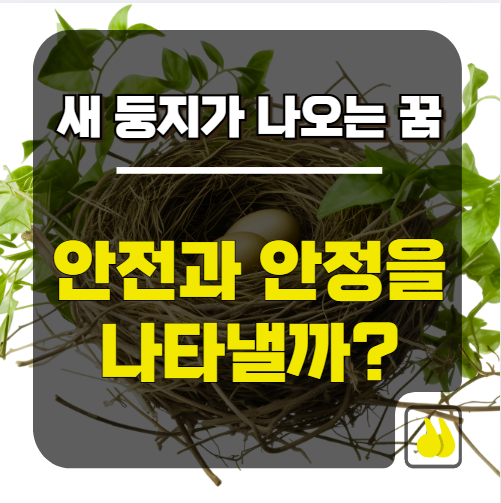 새 둥지가 나오는 꿈, 안전과 안정을 나타낼까?