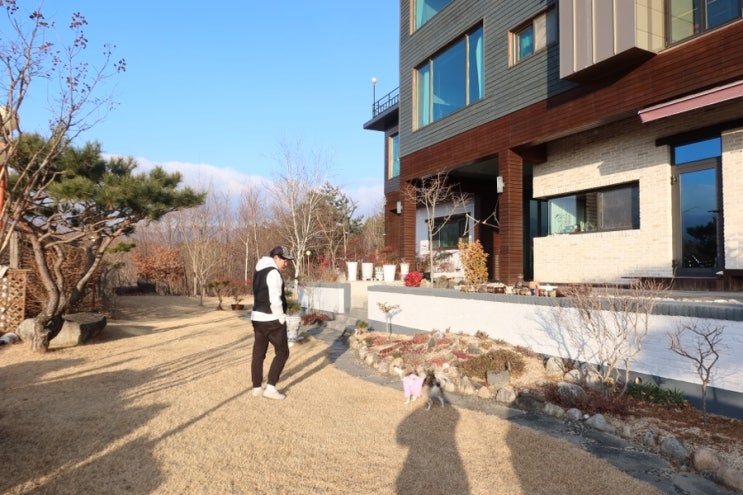  고성 아야진해수욕장 애견동반숙소 티티펜션 두번째 방문