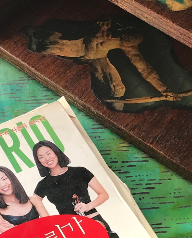  겨울, 사랑