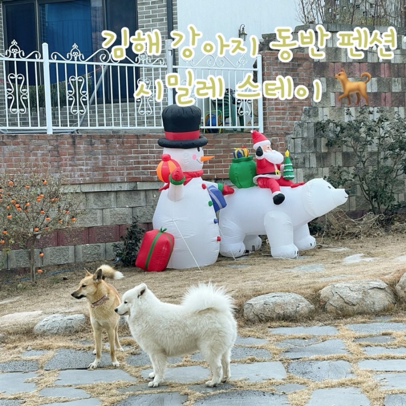 사진 8