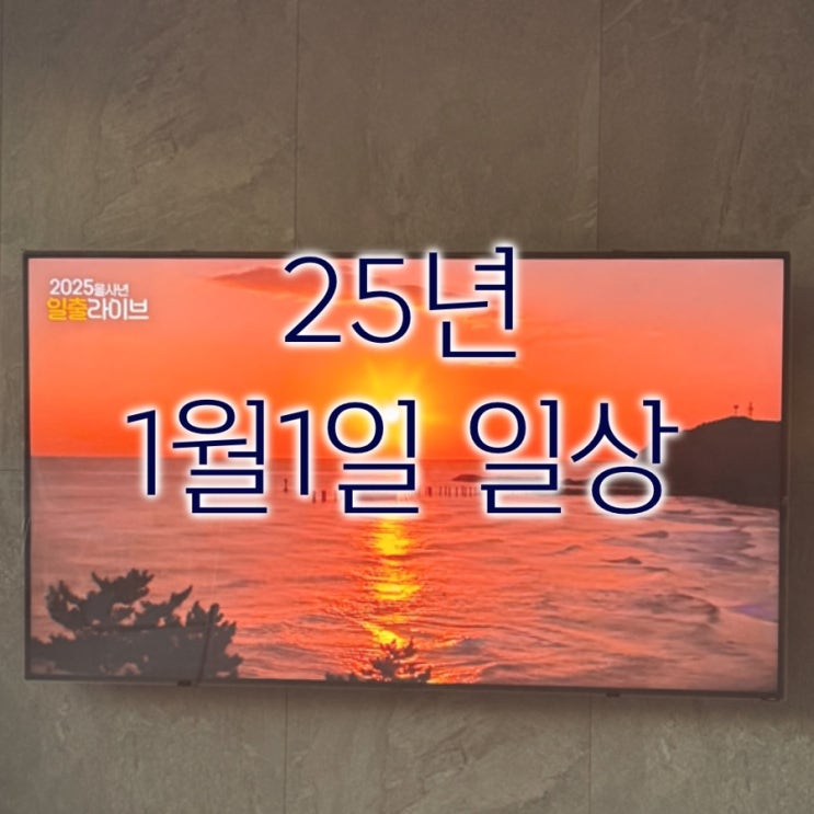  [간단 일기] 25년 1월 1일 일상