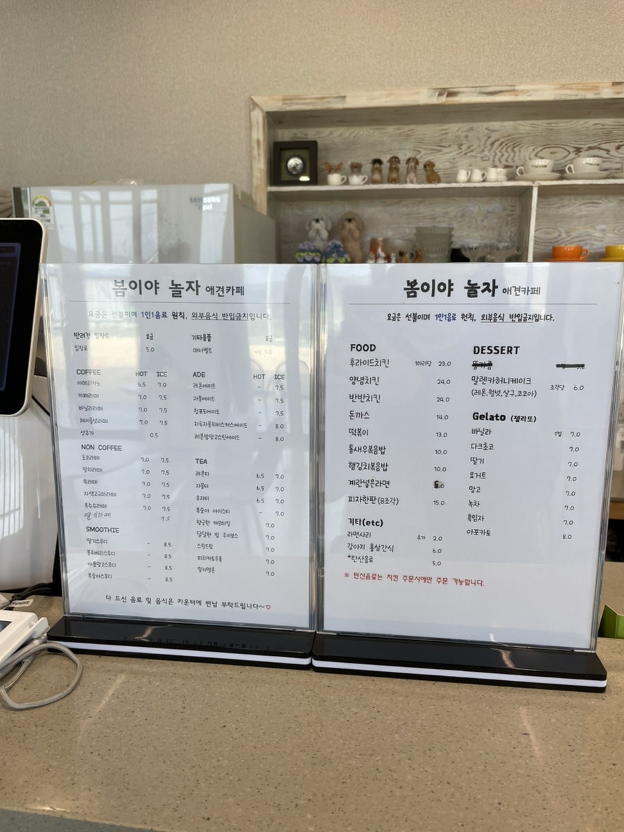 봄이야놀자 사진 2