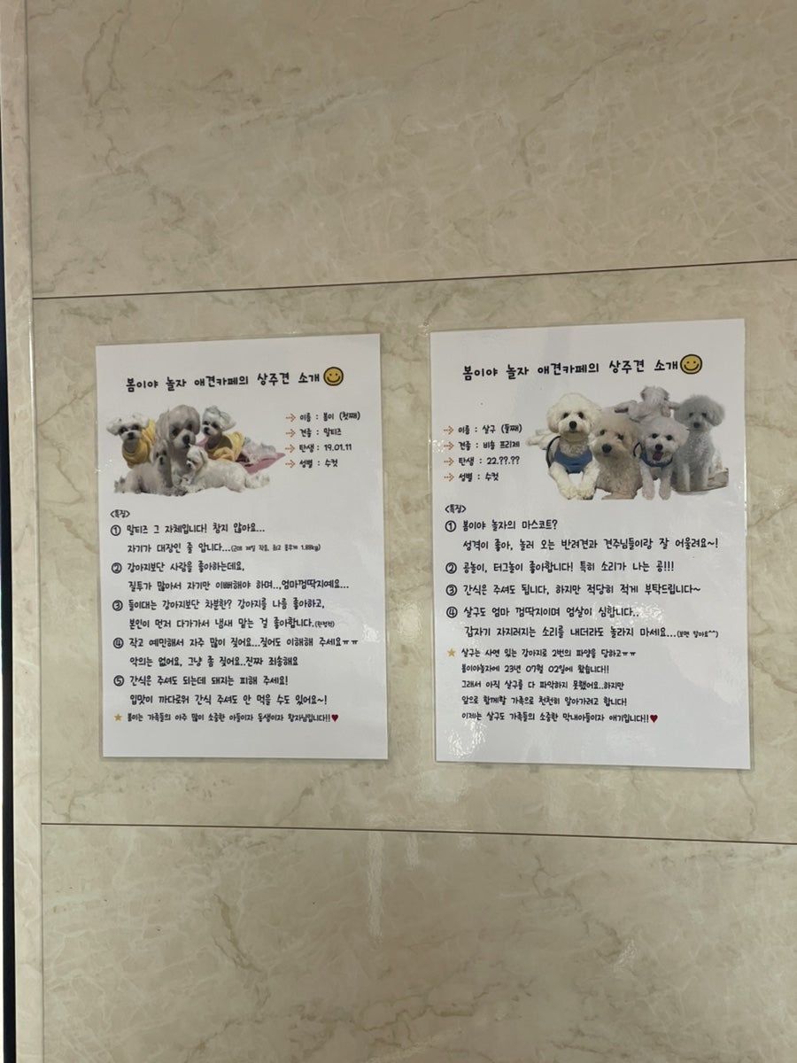 봄이야놀자 사진 5