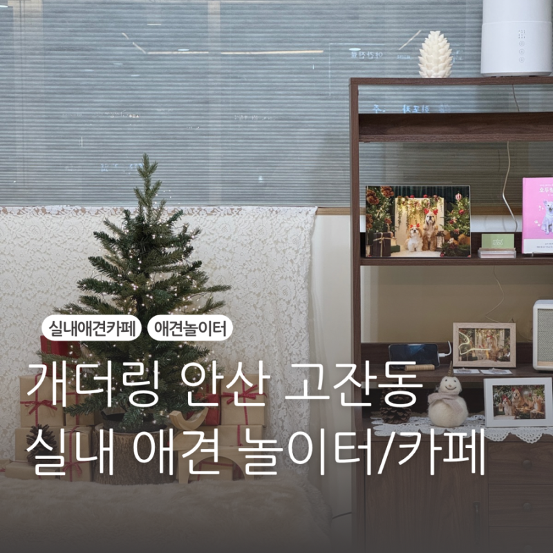 사진 2